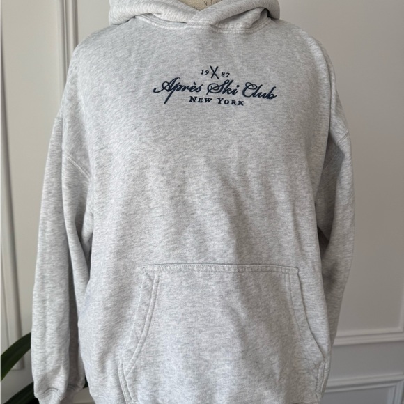 Hollister Light Gray Hoodie - Picture 2 of 5